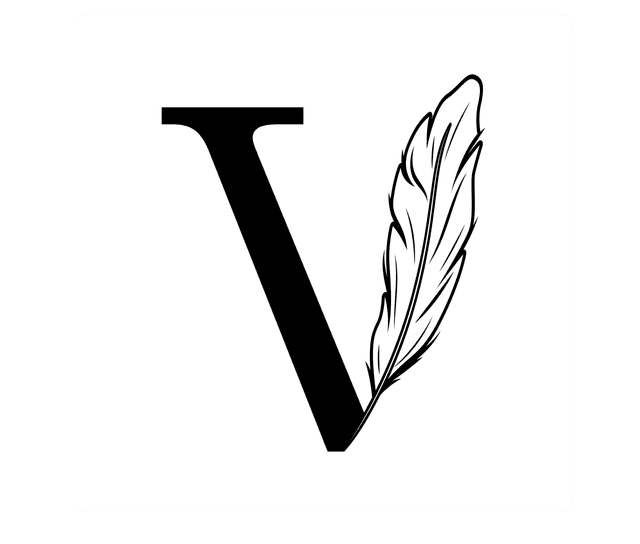 Videmihi Logo